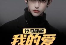 竹马降临,我的爱瞬间扫地(江书正)全章小说阅读-黄桃文学