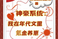 神豪系统：我在年代文里氪金养崽热门小说排行榜神豪系统：我在年代文里氪金养崽叶晓琳免费小说全本-黄桃文学