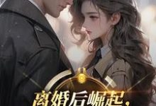 离婚后崛起，绝美前妻高攀不起李川完结小说推荐，离婚后崛起，绝美前妻高攀不起全章小说阅读-黄桃文学