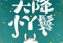 天降小丫鬟(夏夏)全章小说阅读-黄桃文学