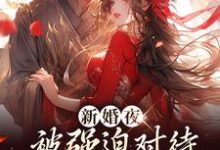 (全文)新婚夜被强迫对待，这叫不近女色？（谢临珩虞听晚）全本书籍阅读新婚夜被强迫对待，这叫不近女色？免费小说全本-黄桃文学