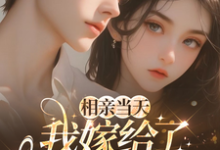 相亲当天,我嫁给了京都首富最新完结小说相亲当天,我嫁给了京都首富蓝冉免费小说-黄桃文学