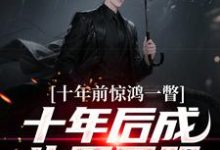李飞十年前惊鸿一瞥,十年后成生死同盟全本免费在线阅读-黄桃文学