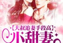 大叔追妻手段高,小甜妻逃不掉叶柠谢聿礼完结小说推荐大叔追妻手段高,小甜妻逃不掉全本书籍阅读-黄桃文学
