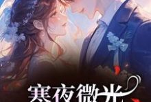 (全文)寒夜微光：她的逆袭人生袁小苔完结小说推荐寒夜微光：她的逆袭人生试读更新章节-黄桃文学