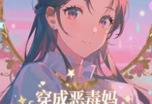 穿成恶毒妈，我氪金养出顶流娃（叶晓琳）全章小说阅读-黄桃文学