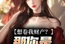 (全文)想卷我财产？那你是碰到铁板了舒楹最新完结小说想卷我财产？那你是碰到铁板了免费小说全本-黄桃文学