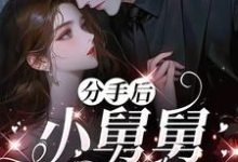 分手后，小舅舅夜夜洗床单完整版小说，分手后，小舅舅夜夜洗床单沈锦悦试读更新章节-黄桃文学