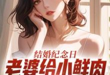 结婚纪念日，老婆给小鲜肉打榜应援（叶一帆）全章小说阅读-黄桃文学