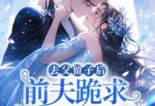 (全文)去父留子后，前夫跪求伺候我月子！完结小说推荐林亦棠全本书籍阅读-黄桃文学