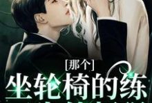 那个坐轮椅的练习生他超强完整版小说，那个坐轮椅的练习生他超强江北生试读更新章节-黄桃文学