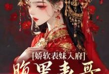 (全文)娇软表妹入府:腹黑表哥沦陷了(沈云婉)全本免费在线阅读-黄桃文学