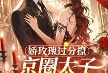 (全文)娇玫瑰过分撩，京圈太子底线全抛邓恩雅全本免费在线阅读-黄桃文学