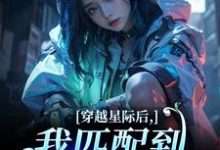 (全文)穿越星际后，我匹配到九个大冤种洛千小说推荐，穿越星际后，我匹配到九个大冤种全章小说阅读-黄桃文学