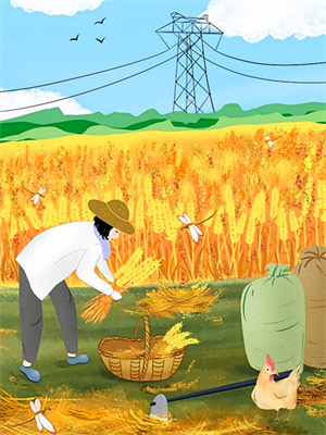 已完结小说《重生：侯府咸鱼才是真白月光》章节在线阅读