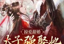 掠爱甜婚:太子强娶她入东宫最新完结小说掠爱甜婚:太子强娶她入东宫贺玥免费小说-黄桃文学
