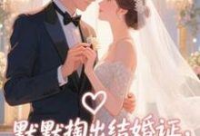 默默掏出结婚证，我的老公好奶最新完结小说默默掏出结婚证，我的老公好奶宋禧免费小说-黄桃文学