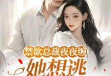 禁欲总裁夜夜缠，她想逃却逃不掉​​温澜热门小说排行榜禁欲总裁夜夜缠，她想逃却逃不掉​​免费小说-黄桃文学