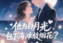 (全文)他为白月光包下海滩放烟花?离婚!(霍宴州云初)试读更新章节他为白月光包下海滩放烟花?离婚!免费小说-黄桃文学