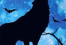 《拐卖：买来的新娘》全集免费在线阅读（凌月蒋牧尘）-黄桃文学
