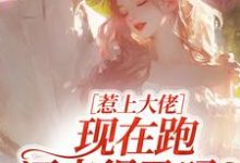 惹上大佬，现在跑还来得及吗？推荐完结小说，惹上大佬，现在跑还来得及吗？林媛免费小说全本-黄桃文学