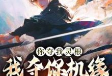 (全文)你夺我灵根，我夺你机缘也合理吧？林水瑶全本免费在线阅读-黄桃文学