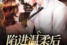 (全文)陷进温柔后，他宠上瘾了(甘棠许应)全本免费在线阅读-黄桃文学