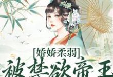 (全文)娇娇柔弱，被禁欲帝王强制囚宠(宋泱裴慎)全本免费在线阅读-黄桃文学