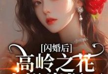 闪婚后,高岭之花人设崩塌了苏酥完结小说推荐闪婚后,高岭之花人设崩塌了全本书籍阅读-黄桃文学
