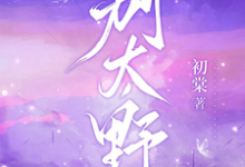 (全文)别太野（许意浓）全本书籍阅读别太野免费小说全本-黄桃文学