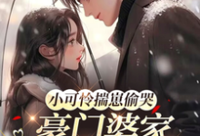 (全文)小可怜揣崽偷哭,豪门婆家来团宠完结小说推荐苏念念全本书籍阅读-黄桃文学