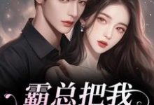 霸总把我当替身后，他真的后悔了热门小说排行榜霸总把我当替身后，他真的后悔了白筱帆盛延免费小说全本-黄桃文学