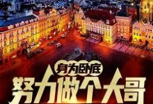 (全文)身为卧底,努力做个大哥不过分吧白舟全本免费在线阅读-黄桃文学