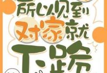 因为太怂所以见到对家就下跪最新完结小说因为太怂所以见到对家就下跪叶暮免费小说-黄桃文学