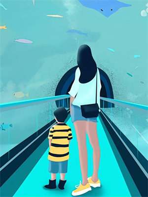 小说《被空军劝退后，我成了空中之神》章节免费阅读