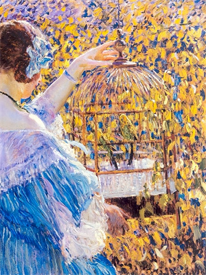 小说《清风入怀却无你》在线章节阅读