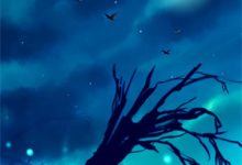 岁岁朝朝不相逢楚云澜苏扶楹小说在线章节免费阅读-黄桃文学