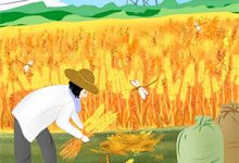 裴雪姝池逸小说《流年织云夏染帘》在线阅读-黄桃文学