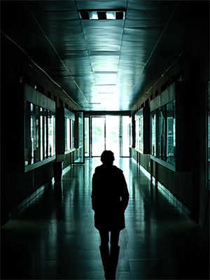 纵横五千年小说的所有章节都能在哪里免费读到？